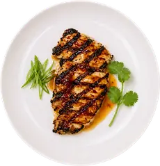 Fresh Fork Grill grilled chicken breast